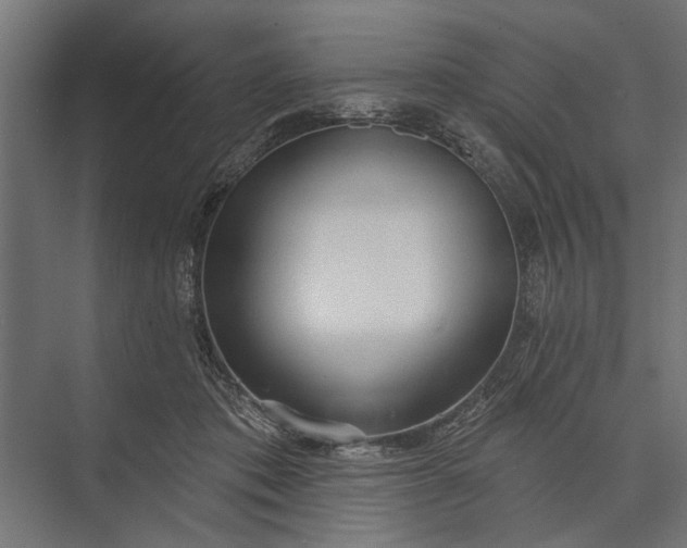 X0000073830413200608240956