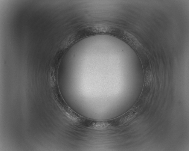 X0000073830414200608240956