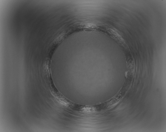 X0000073830415200608240956