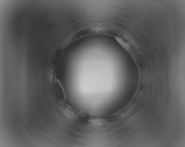 X0000073830417200608240956