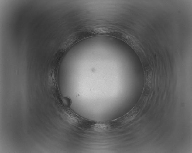 X0000073830418200608240956