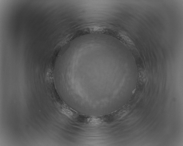 X0000073830419200608240956