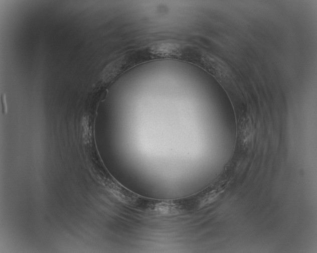 X0000073830420200608240956