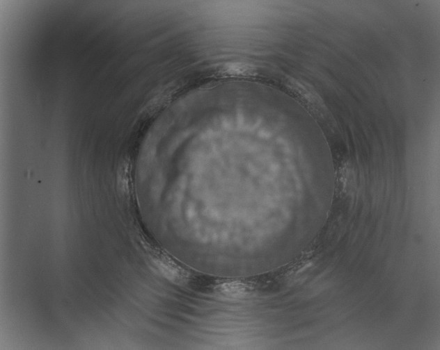 X0000073830423200608240956