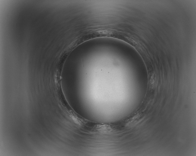 X0000073830424200608240956