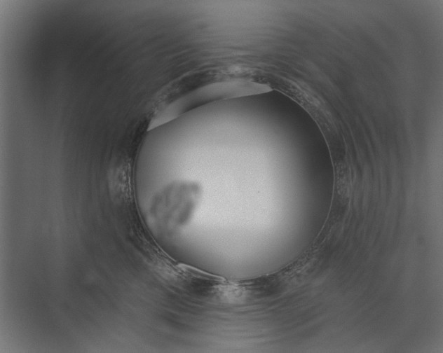 X0000073830425200608240956