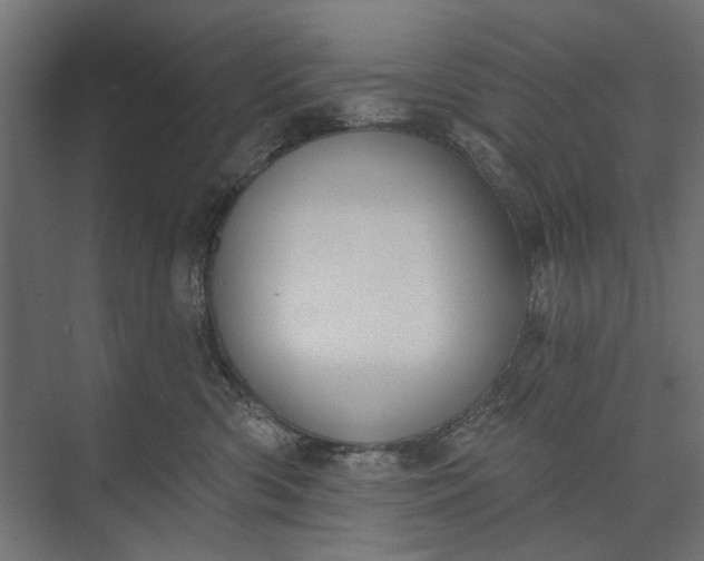 X0000073830426200608240956