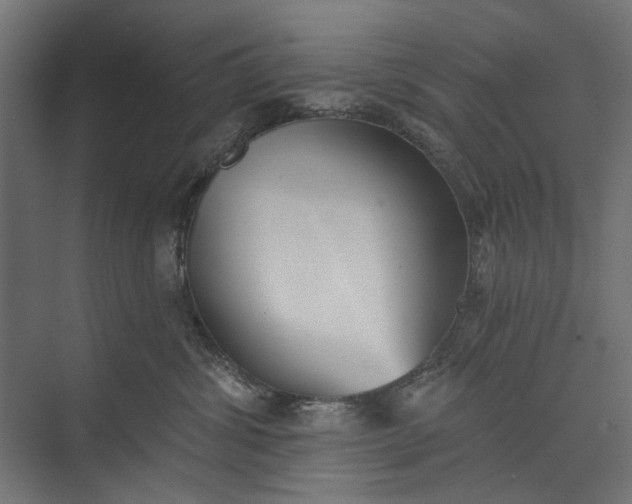 X0000073830428200608240956