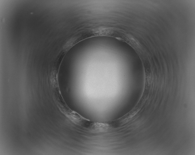 X0000073830429200608240956