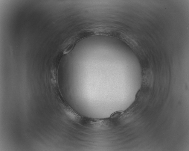 X0000073830430200608240956