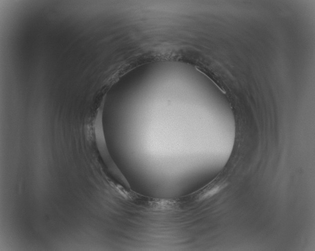 X0000073830432200608240955