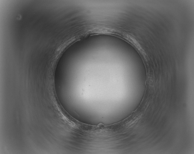 X0000073830433200608240955