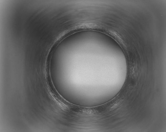 X0000073830439200608240955