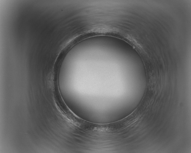 X0000073830440200608240955