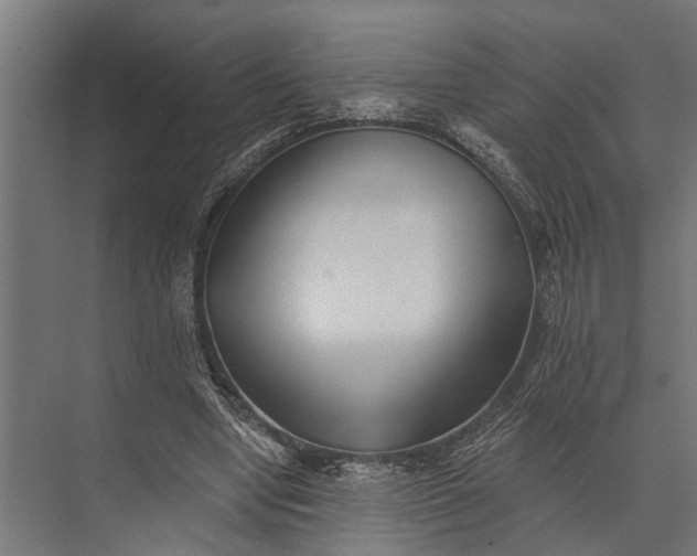 X0000073830442200608240955