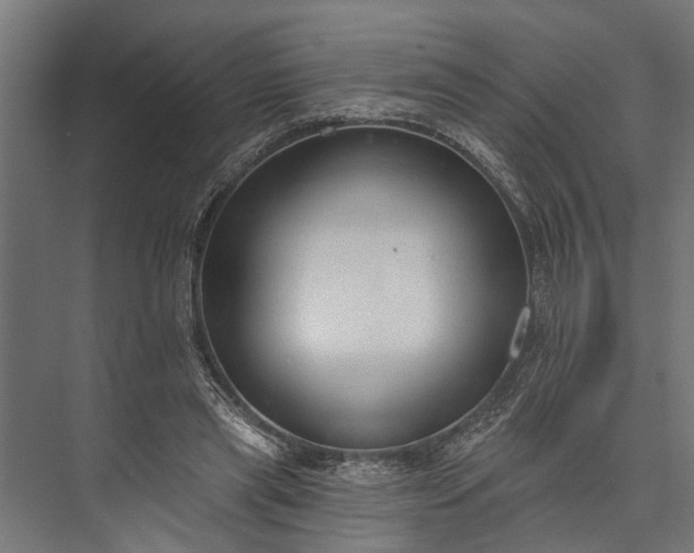 X0000073830445200608240955