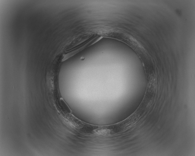 X0000073830452200608240955