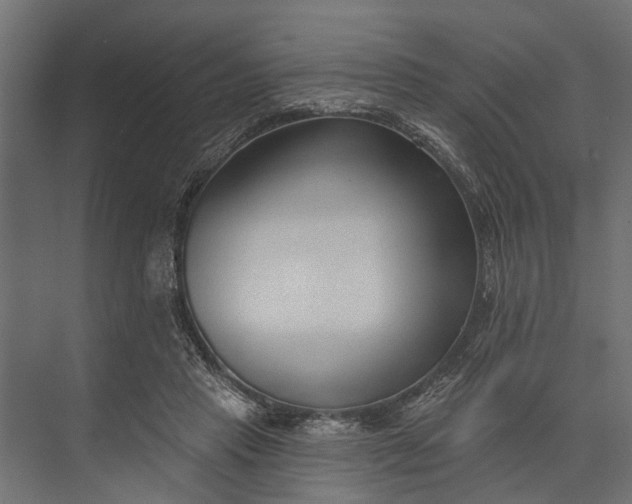 X0000073830453200608240955