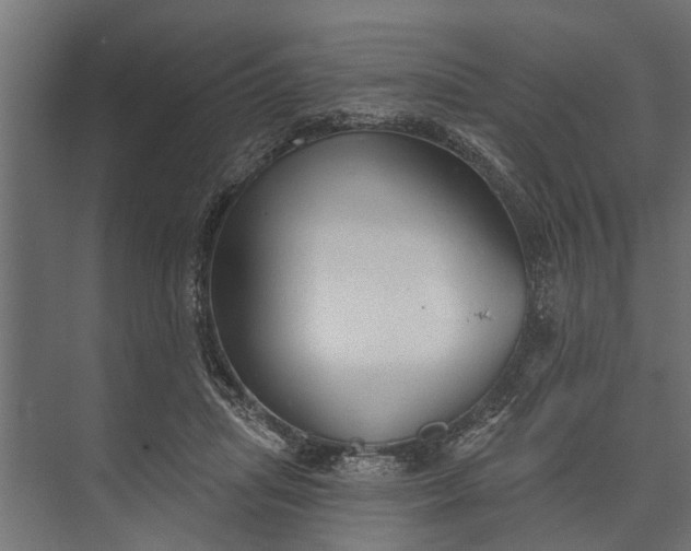 X0000073830455200608240955