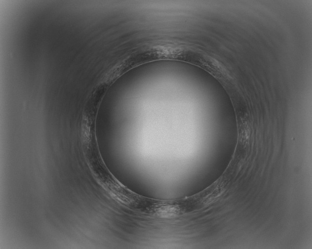 X0000073830456200608240955