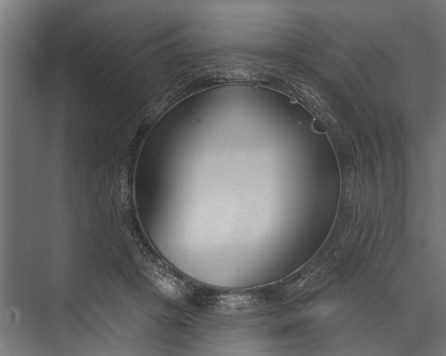 X0000073830457200608240955