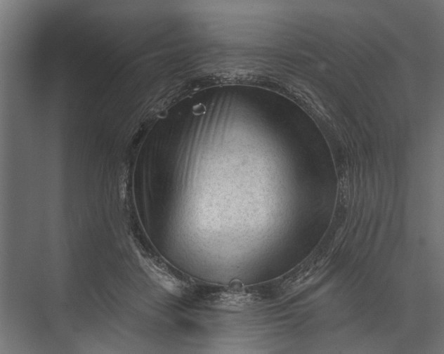 X0000073830458200608240955