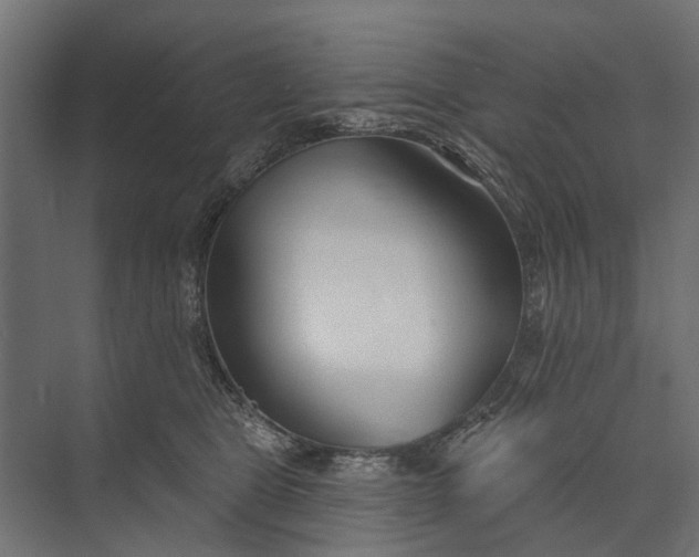 X0000073830469200608240955