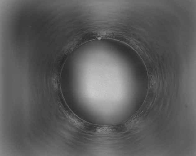 X0000073830470200608240955