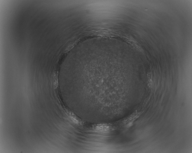 X0000073830471200608240955