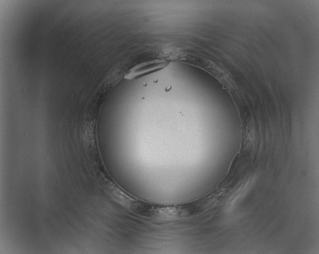 X0000073830473200608240955