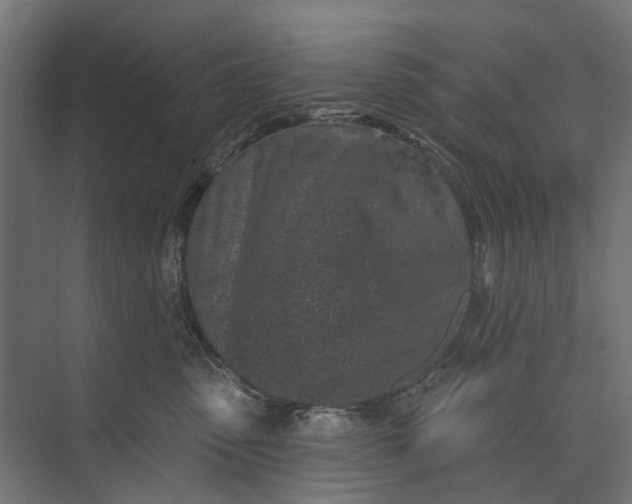 X0000073830475200608240955