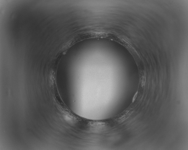 X0000073830476200608240955