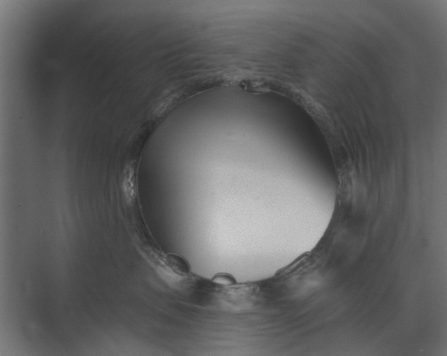 X0000073830479200608240955