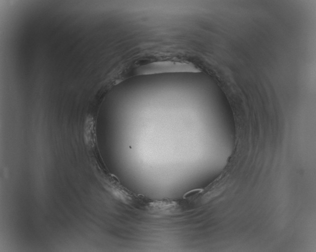 X0000073830480200608240955