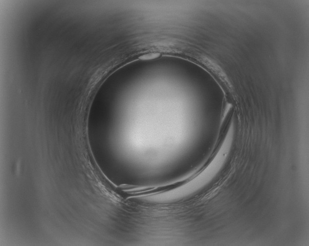 X0000073830481200608240955