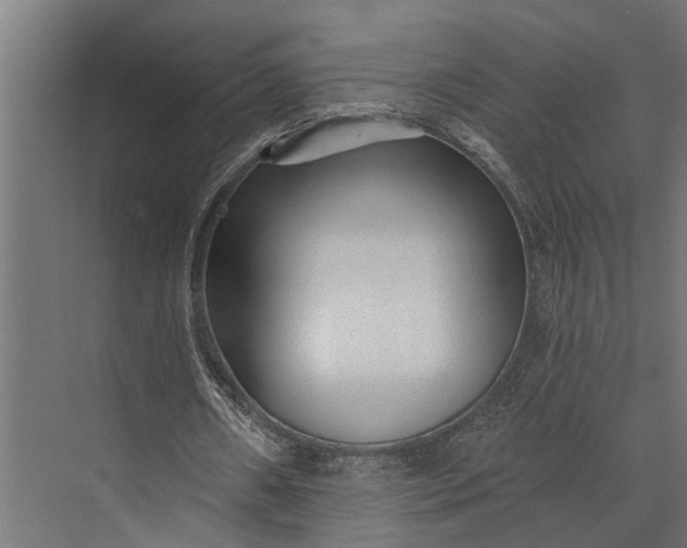 X0000073830482200608240955