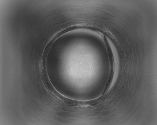 X0000073830484200608240955