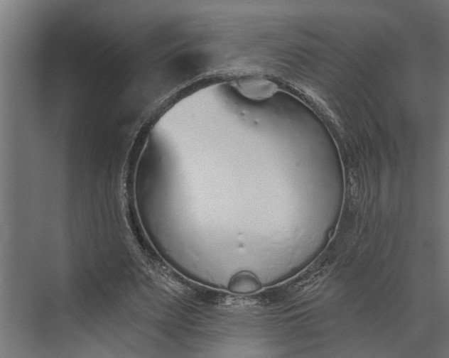 X0000073830487200608240955