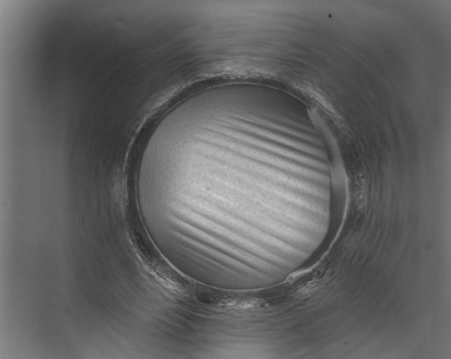 X0000073830488200608240955