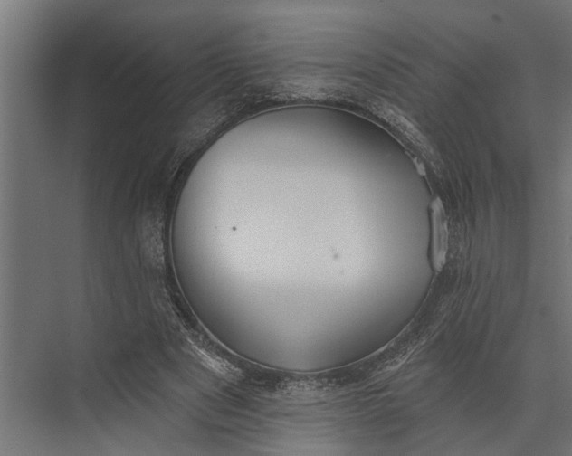 X0000073830489200608240955