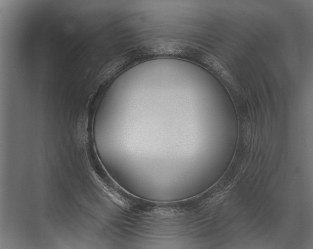 X0000073830490200608240954