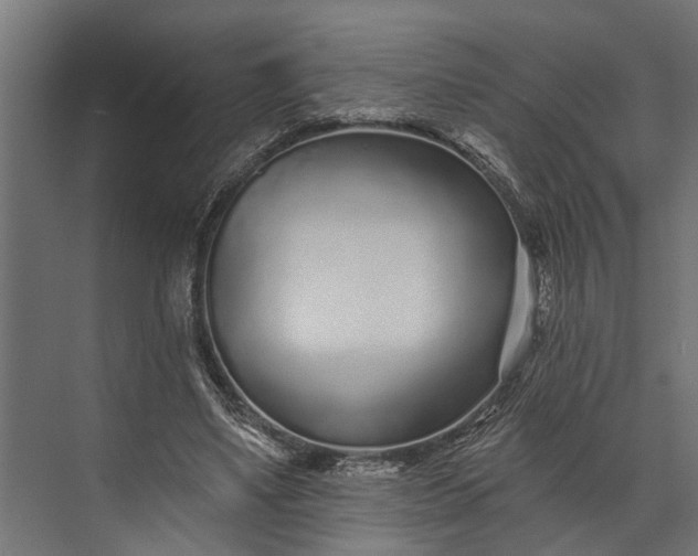 X0000073830491200608240954