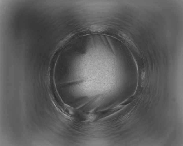 X0000073830492200608240954