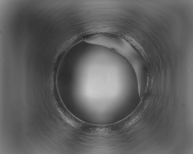 X0000073830493200608240954