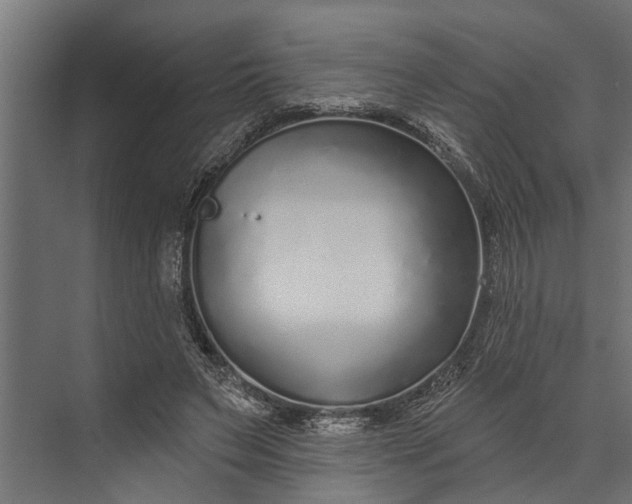 X0000073830495200608240954