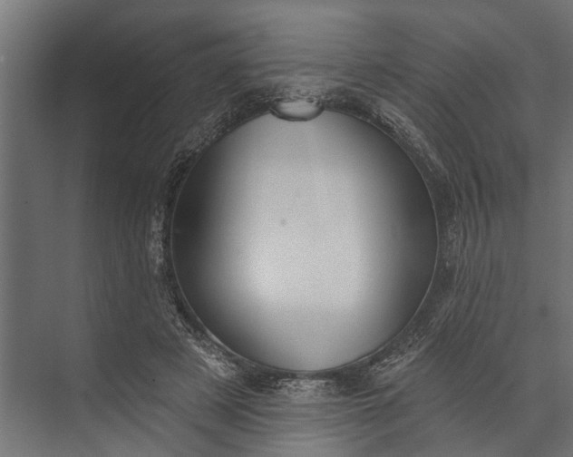 X0000073830497200608240954