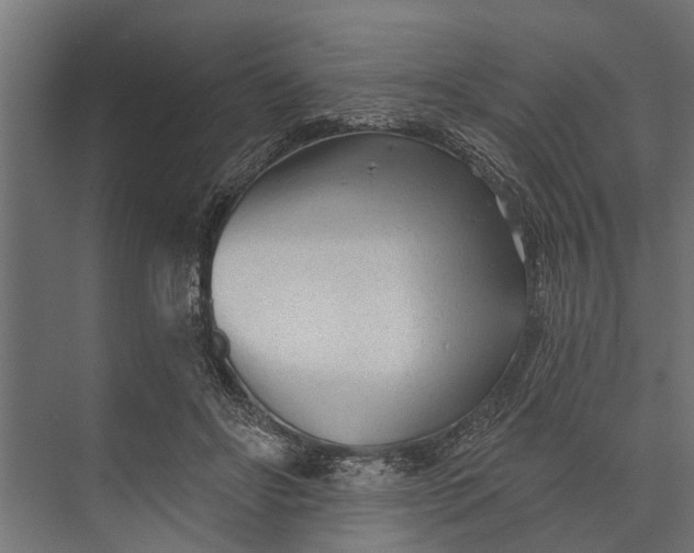 X0000073830502200608240954