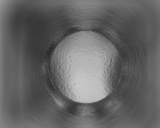 X0000073830503200608240954