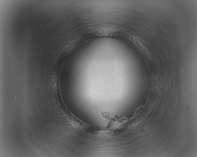 X0000073830505200608240954