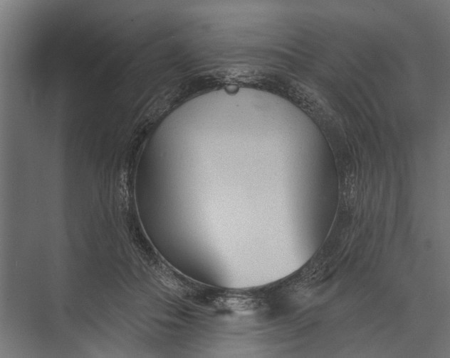 X0000073830506200608240954